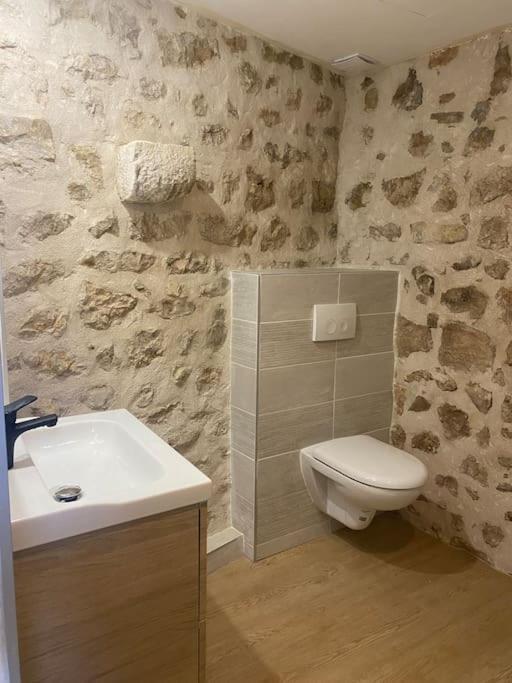 Vakantiehuis Loft En Plein Coeur Du Village